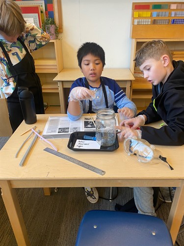 Gallery Image 0ed69a66bf82ad9fd7832ab259919edf2a45c27269f79878df972f4f180d472b.original.jpeg