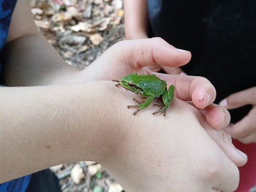 Gallery Image 97f3d79cb2eedcd658603d29b4c184c620c64d83b6e8ba11f376a69cbca5c865.original.jpg