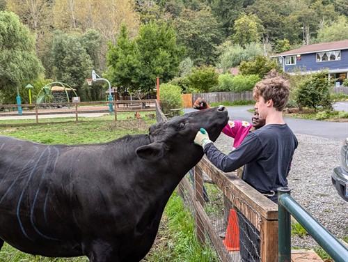 Gallery Image c2937ee924634cb68f3fc0166436e0d3a01943cf803289e4ec8527e05bc49c14.original.jpg