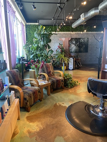 Gallery Image IMG_6727.jpeg