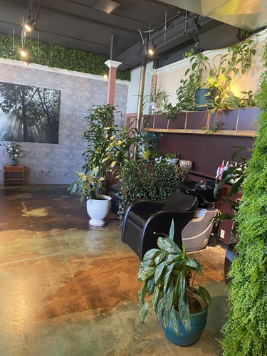 Gallery Image IMG_6730.jpeg