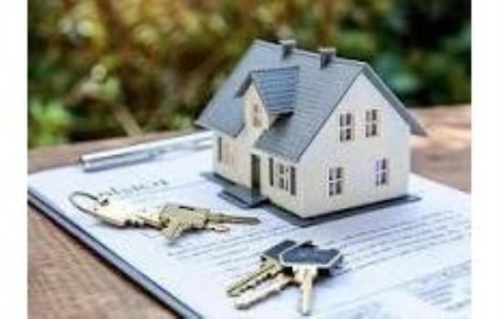 Real Estate