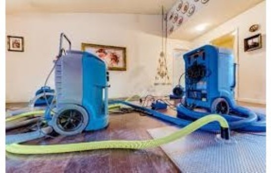 Restoration & Mitigation 