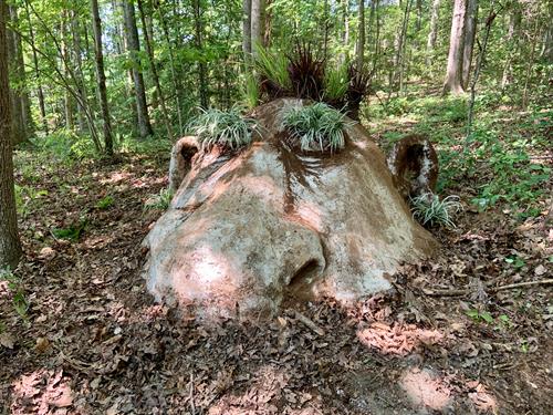 Troll in the woods by Kim.  Lots of little surprises all around the retreat to be found.