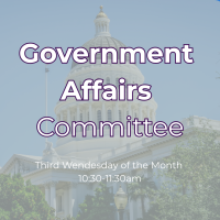 Government Affairs Committee