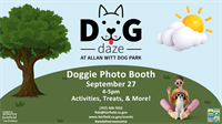 Dog Daze at Allan Witt Dog Park
