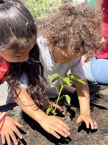 Gallery Image Kid_Planting.jpg