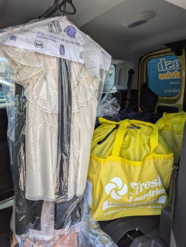 Dry Cleaning Pickup and Delivery Service