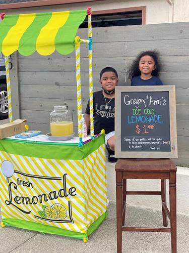Gregory and Ami First Lemonade Stand 