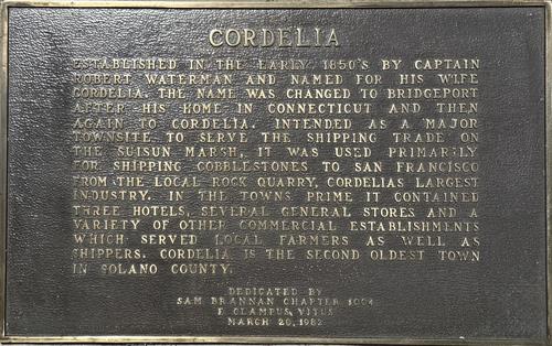 Plaque #3