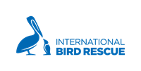 International Bird Rescue