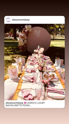 Bachelorette luxury picnic 