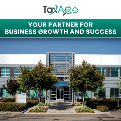 Gallery Image TaxAce_Cover.jpg