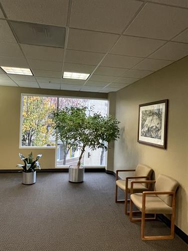 Cast Iron Plant and Ficus Cast Iron Plant and Ficus