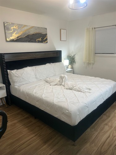 Gallery Image 1769911604_E89D810F5EA44021B35318286D2A04B4_(1).jpg