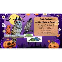 Owl-O-Ween