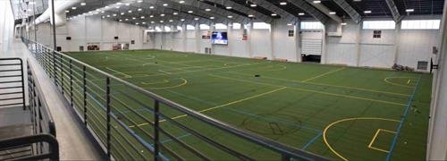 Gallery Image Turf_Image_from_SW_Wall._Full_View.JPG