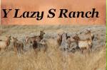 Y Lazy S Ranch