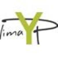 2020 Lima YP Professional Development 2/12/20