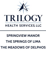 SPRINGVIEW MANOR NURSING HOME