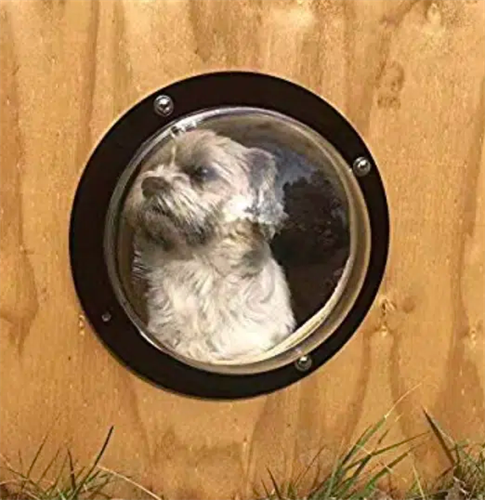 Puppy Windows
