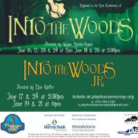 Into the Woods, the Musical