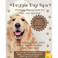Doggie Day Spa