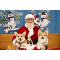 Photos with Santa Claws with Calloway County Humane Society