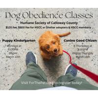 Dog Obedience Classes : Canine Good Citizen