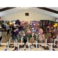 9th Annual Floral & Iris Show, Plant Sale & Luncheon