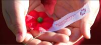 VFW Post 6291 Conducts Annual Poppy Drive