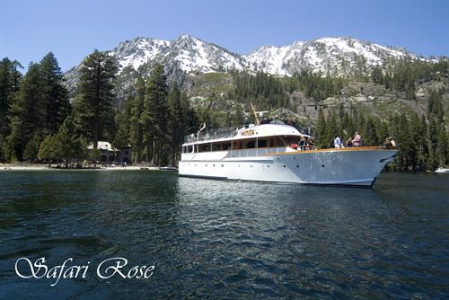 Gallery Image Named_Safari_Rose.jpg