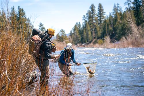 Gallery Image dsc01636-5.JPG