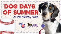 ARL Dog Days of Summer