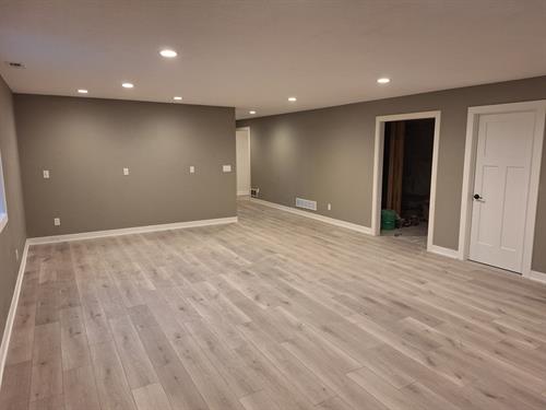 Basement Remodel