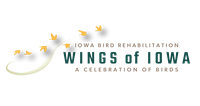 Wings of Iowa, A Celebration of Birds