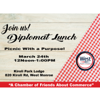 Diplomat Lunch - Picnic with a Purpose!