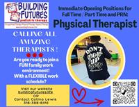 Physical Therapist