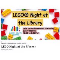 LEGO Night at the Library