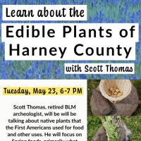 Edible Plants in Harney County