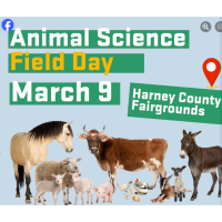 4-H Animal Science Field Day