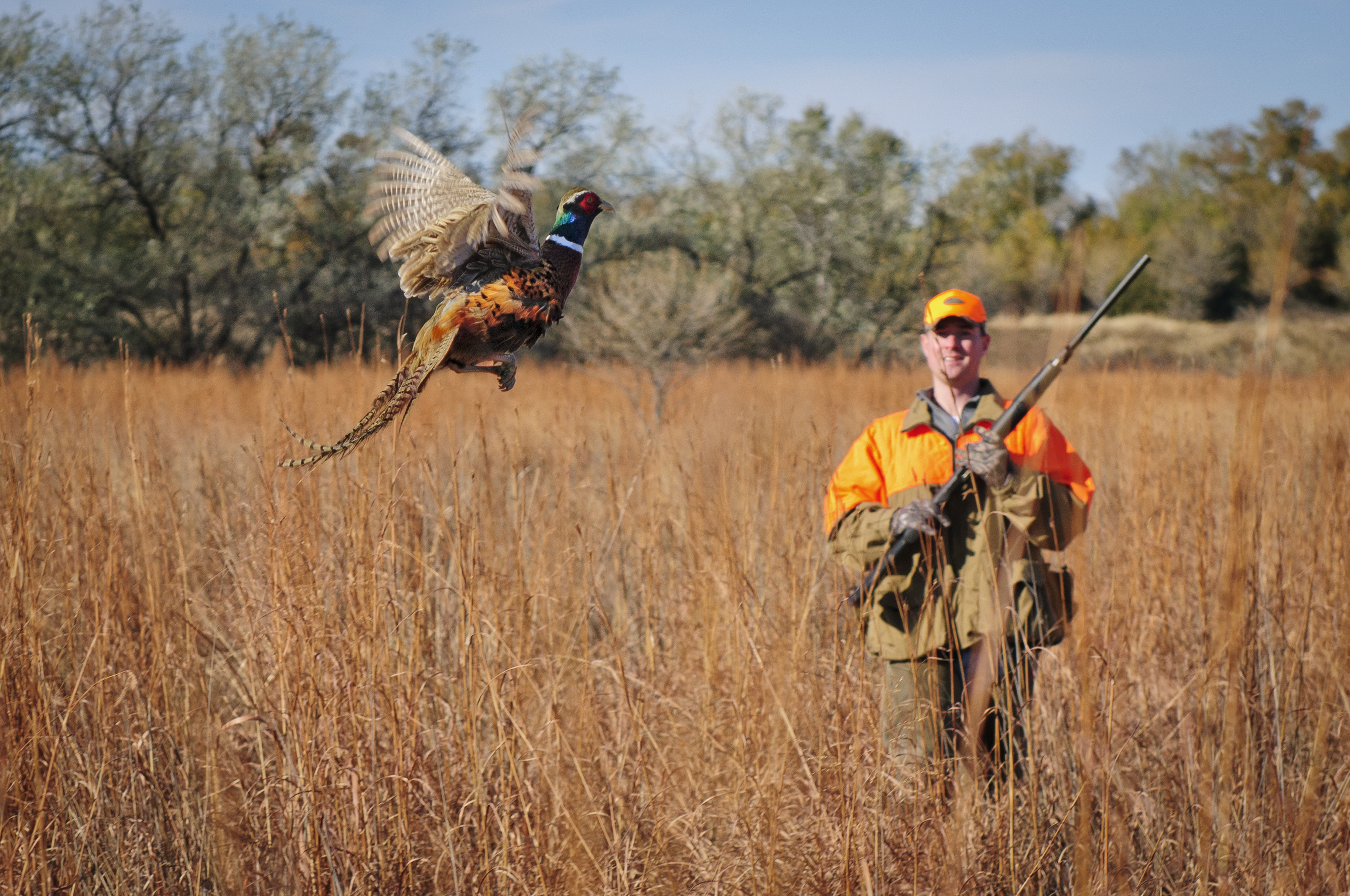 Image for Pheasant Hunting Season in Mitchell, South Dakota Promises a Thrilling Hunt, and Boasts Impressive Economic Impact