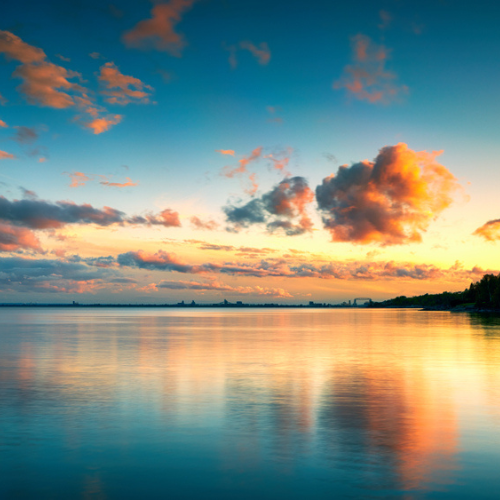 Gallery Image 2(1).png