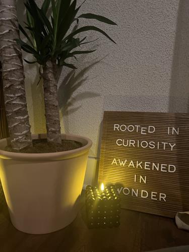 Rooted in curiosity. Awakened with wonder.