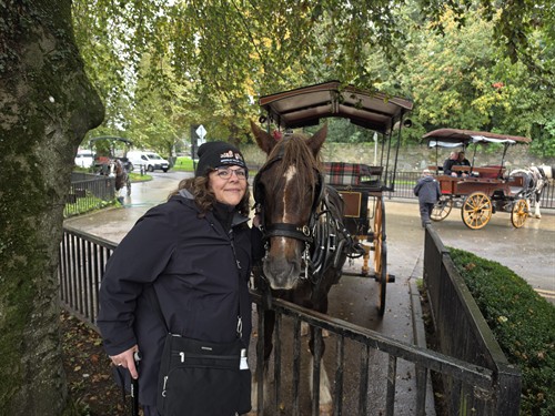 Killarney Horse Carriage Ireland