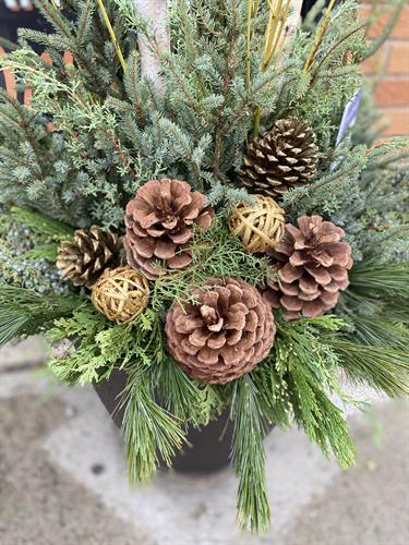 Gallery Image XmasPotLiquorStore.JPG