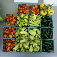 farm fresh produce