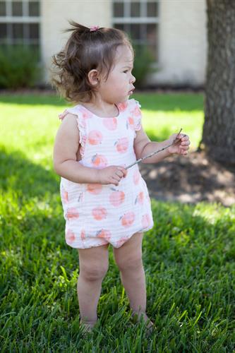 Gallery Image peach02.jpg Gallery Image peach02.jpg