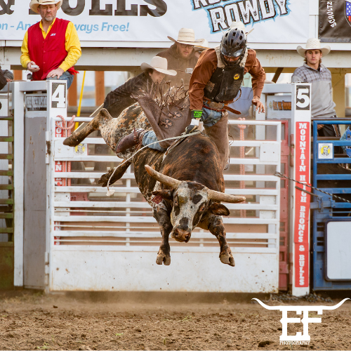 Eight seconds of grit, power, and pure adrenaline.