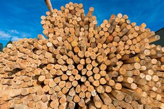 Heartwood Biomass